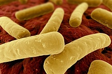 Риск рецидива инфекции Clostridium difficile у пациентов, получающих антисекреторную терапию 