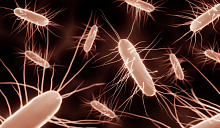 Эффективность ванкомицина в профилактике рецидива инфекции Clostridioides difficile