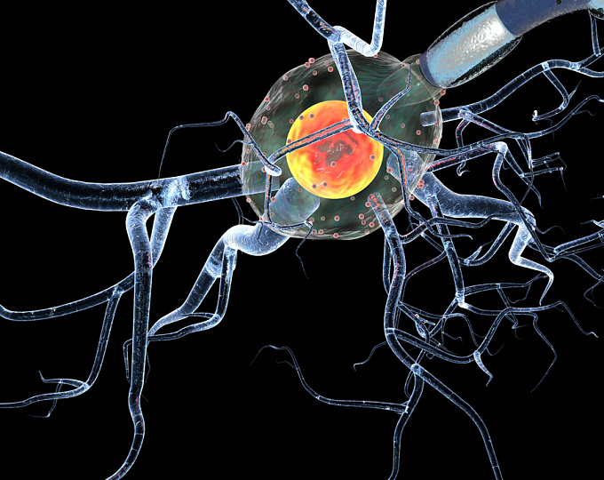 Какие инфекции чаще встречаются у пациентов с рассеянным склерозом?