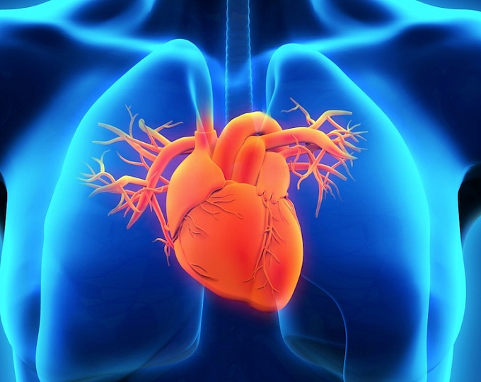 Результаты исследования препарата серелаксин у больных с острой сердечной недостаточностью