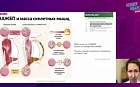 Неалкогольная жировая болезнь печени как мультисистемное заболевание: каким пациентам нужен скрининг?