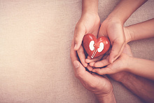 Частота сердечных сокращений и почечная недостаточность: есть ли связь?