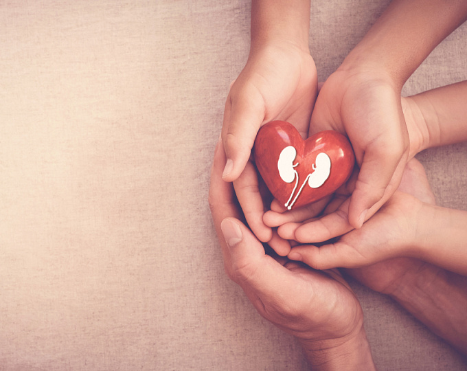Частота сердечных сокращений и почечная недостаточность: есть ли связь?