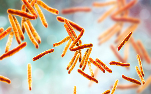 Возможно ли сокращение продолжительности терапии туберкулеза?
