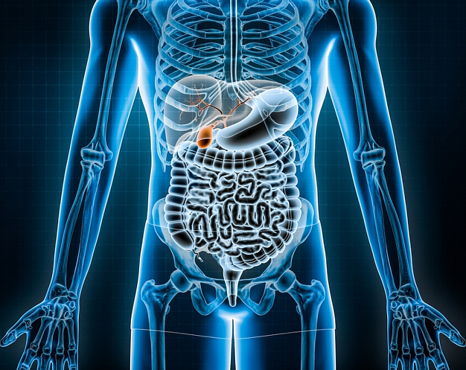 Ингибиторы дипептидилпептидазы 4 и заболевания желчного пузыря и желчевыводящих путей