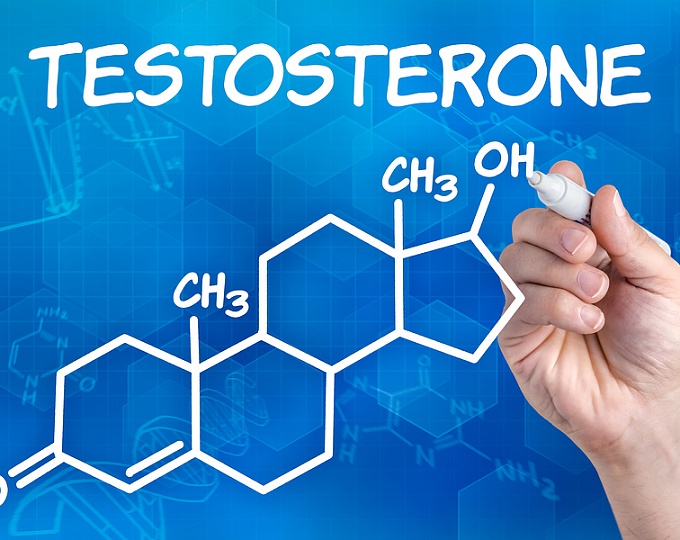 Какое влияние оказывают препараты тестостерона на размеры атеросклеротических бляшек коронарных артерий?