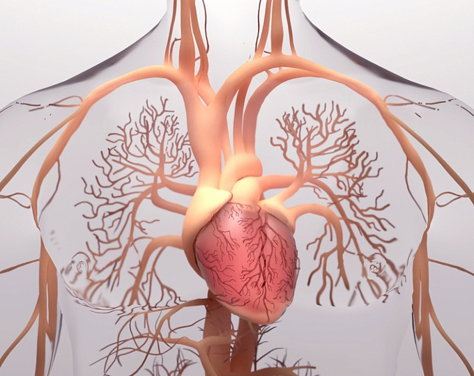 Исход фульминантного миокардита зависит от гистологического типа 