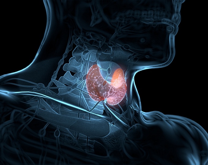 Применение радиоактивного йода у больных с папиллярным раком щитовидной железы, каких результатов ожидать? 