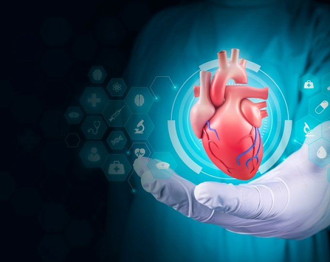 Сердечно-сосудистые нежелательные явления терапии ингибиторами тирозинкиназы рецептора эпидермального фактора роста