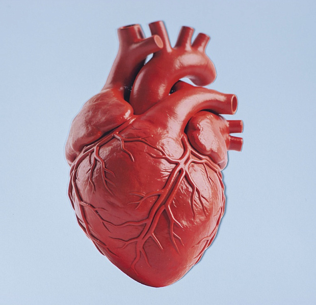 Большие кровотечения после закрытия ушка левого предсердия