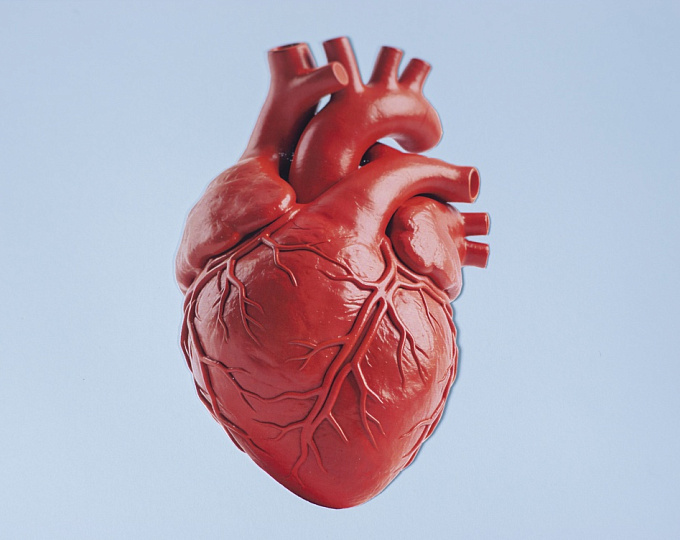 Большие кровотечения после закрытия ушка левого предсердия