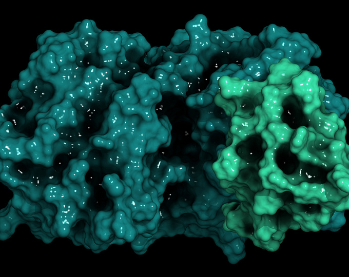 Первый пероральный ингибитор PCSK9