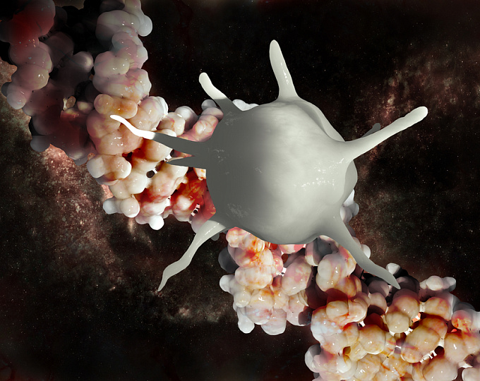 Влияние почечной функции на агрегацию тромбоцитов у пациентов с ИБС