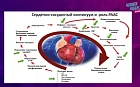 Дисфункция сосудистого эндотелия как ведущий механизм атеросклеротического поражения сосудистой стенки. Фармакологические возможности профилактики и коррекции