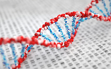 Генетика определяет риск развития инфекции на фоне терапии ИПП