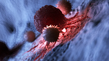 Статин-опосредованное ингибирование RAS-белков активирует феномен стресса ЭР, повышающего иммуногенность раковых опухолей с KRAS мутацией