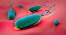 Стратегии повышения эффективности эрадикационной терапии H pylori