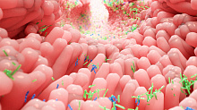 Может ли добавление пищевых волокон улучшить чувствительность к инсулину после трансплантации фекальной микробиоты?