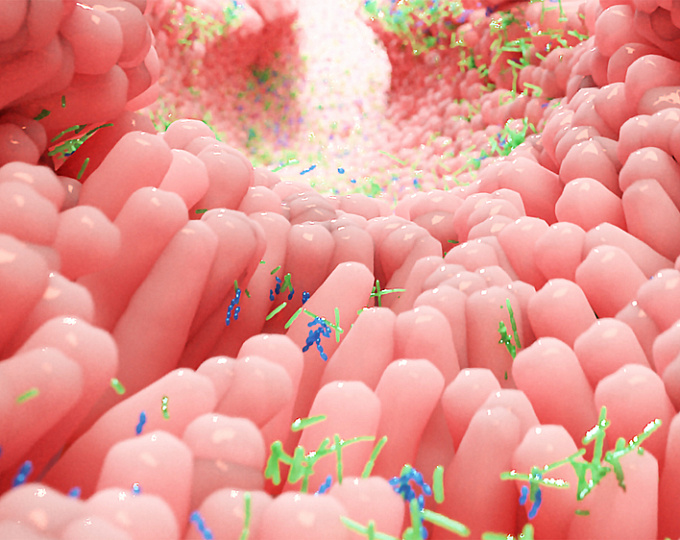 Может ли добавление пищевых волокон улучшить чувствительность к инсулину после трансплантации фекальной микробиоты?