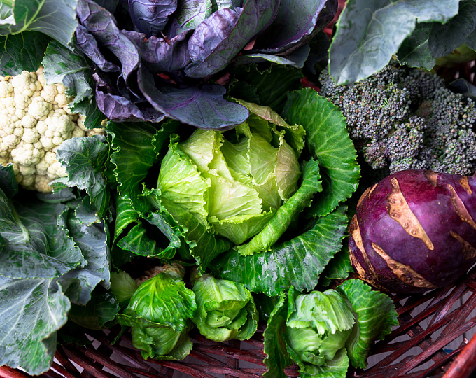 Употребление крестоцветных овощей и риск развития рака толстой кишки