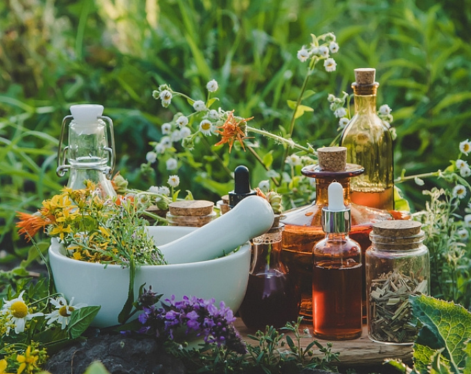 Эффективность лекарственных и растительных препаратов в лечении легкой депрессии 