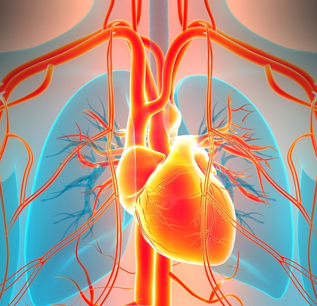 Длительность мониторинга ЭКГ влияет на вероятность выявления фибрилляции предсердий
