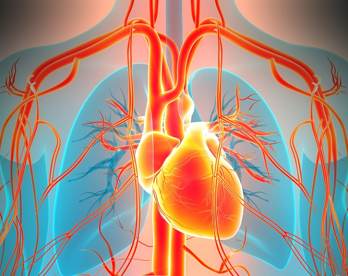 Длительность мониторинга ЭКГ влияет на вероятность выявления фибрилляции предсердий