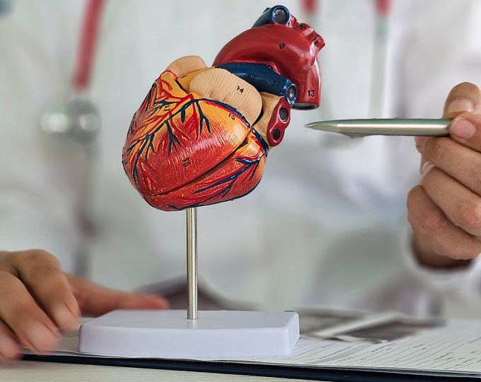 Отдаленные исходы катетерной аблации желудочковой тахикардии