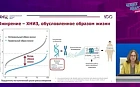 Современные подходы к лечению ожирения от диетотерапии до тирзепатида
