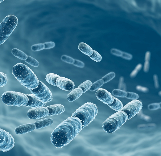 Пробиотики в лечении депрессии