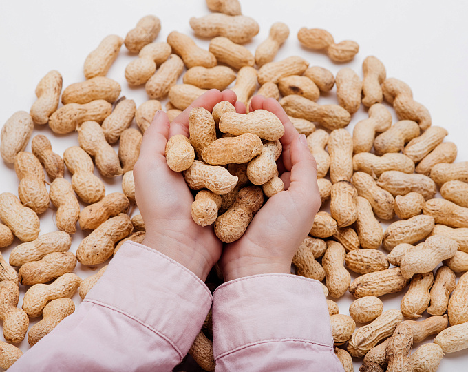 Является ли безопасной и эффективной пероральная иммунотерапия арахисом у малышей?