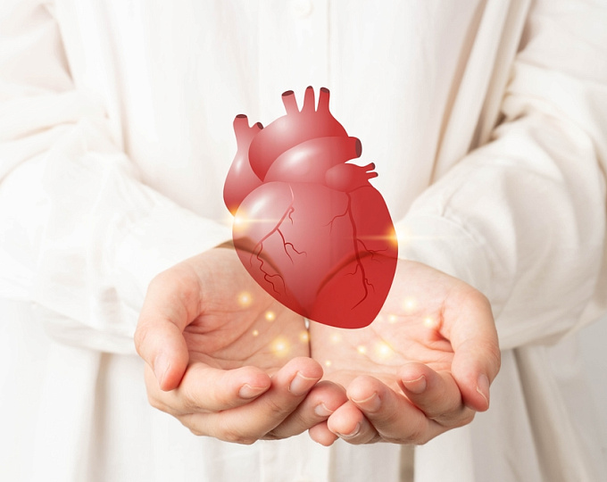 Риски долгосрочной отмены оральной антикоагулянтной терапии после удачной катетерной аблации у пациентов с фибрилляцией предсердий