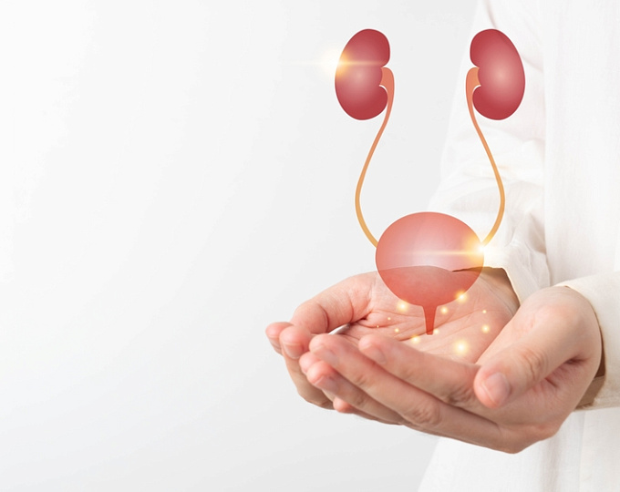 Последствия отмены ингибиторов натрий-глюкозного котранспортера-2 типа по причине мочевой инфекции 