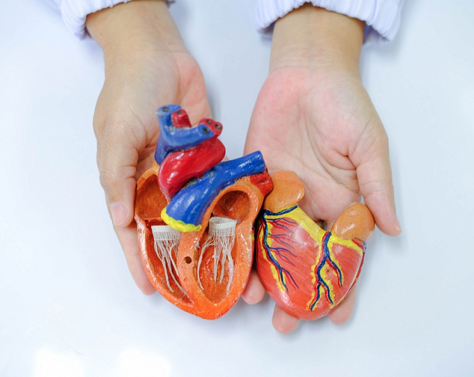 Модификация образа жизни у пациентов с фибрилляцией предсердий