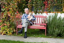 Домашние животные замедляют когнитивные нарушения у пожилых одиноко проживающих лиц