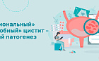 «Функциональный» и «микробный» цистит – двуликий патогенез