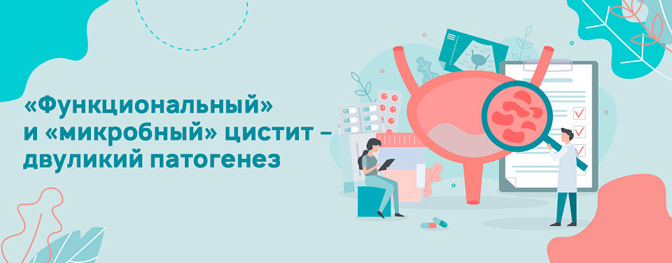 «Функциональный» и «микробный» цистит – двуликий патогенез