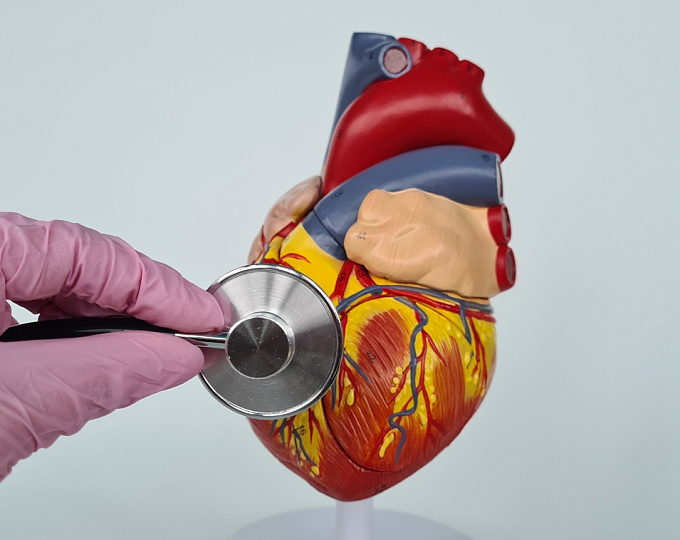 Транстиретиновый амилоидоз у пациентов с ХСНсФВ