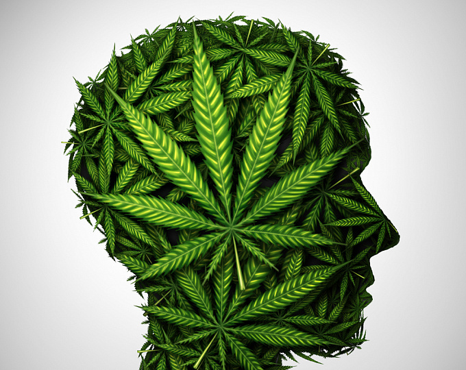 Шизофрения и марихуана конопля как лекарственное средство