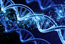 Изменения в митохондриальной ДНК как причина желчно-каменной болезни