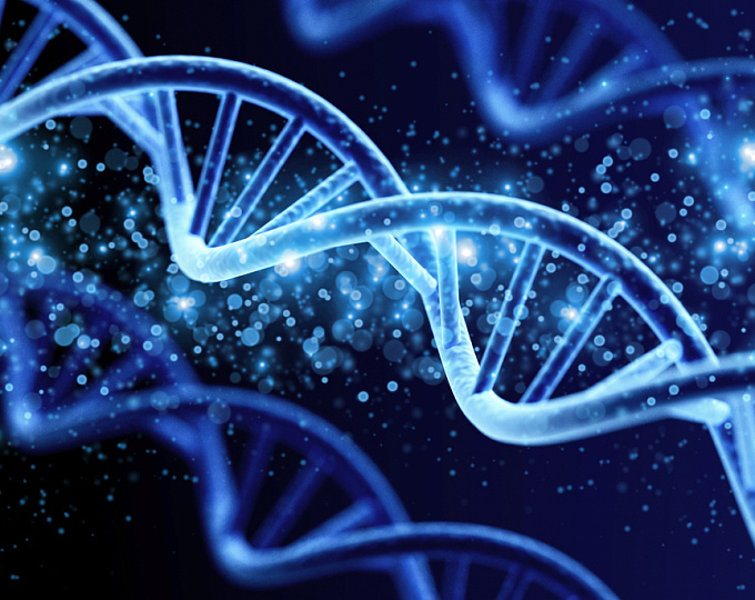 Изменения в митохондриальной ДНК как причина желчно-каменной болезни