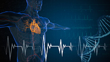 Какова связь между значениями фракции выброса и риском неблагоприятных исходов у пациентов с саркоидозом сердца?
