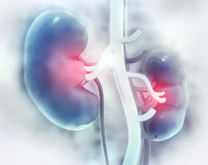 Как меняется заболеваемость почек после бариатрической операции?