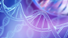 Особенности онкологических заболеваний у мужчин, носителей мутаций генов BRCA1 и BRCA2