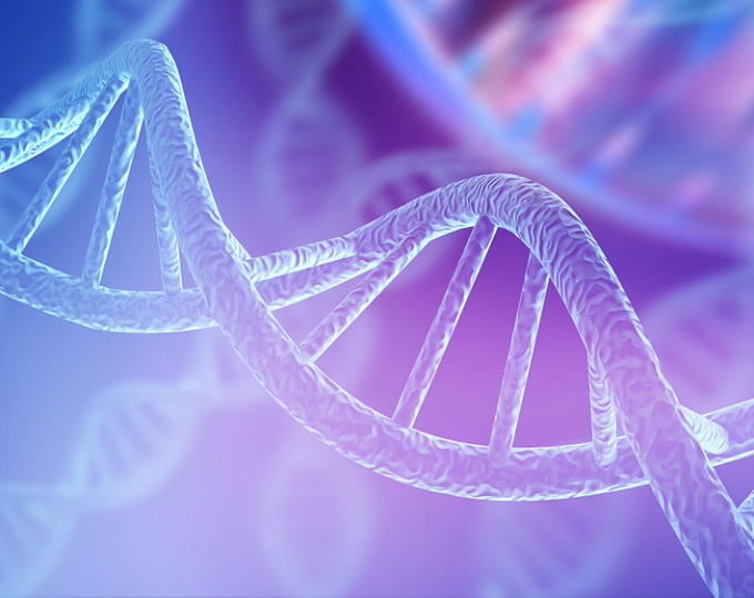 Особенности онкологических заболеваний у мужчин, носителей мутаций генов BRCA1 и BRCA2